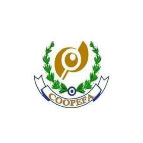 Logo de organización cliente